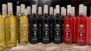 Po roce jsou opět tady – svatomartinská vína letošního ročníku z vinařství Vajbar Rakvice! 🎉 Těšte se na svěží a...